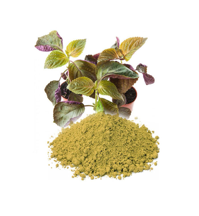 Perilla Leaf Powder