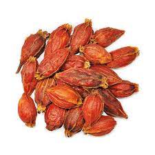 Gardenia Fruit Powder