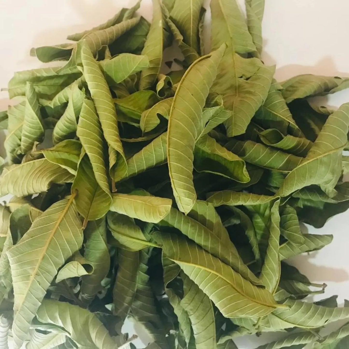 Dried Guava Leaves