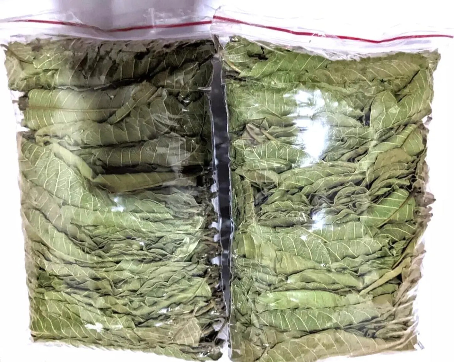Dried Guava Leaves