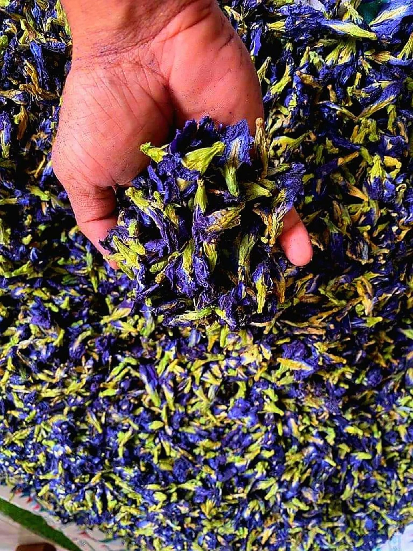 Butterfly Pea Flower Powder