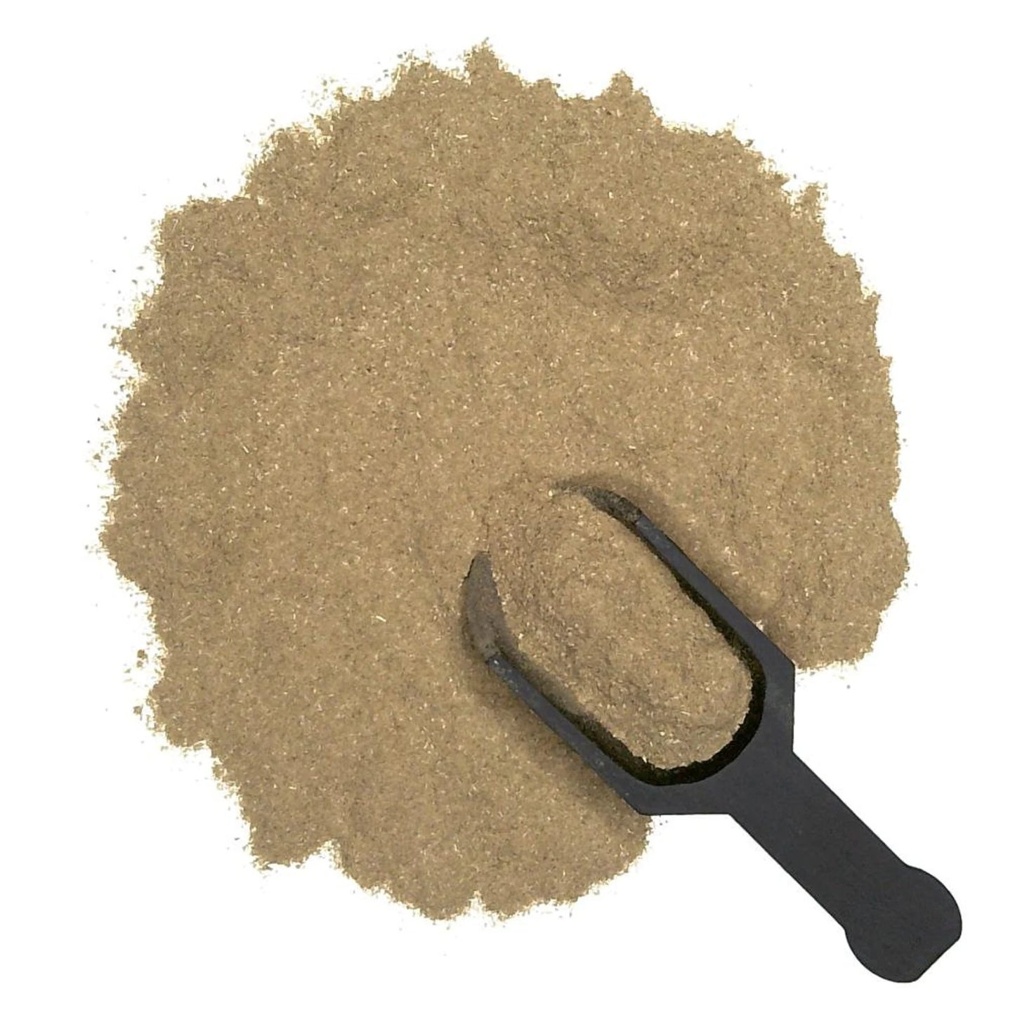 Oregano Powder