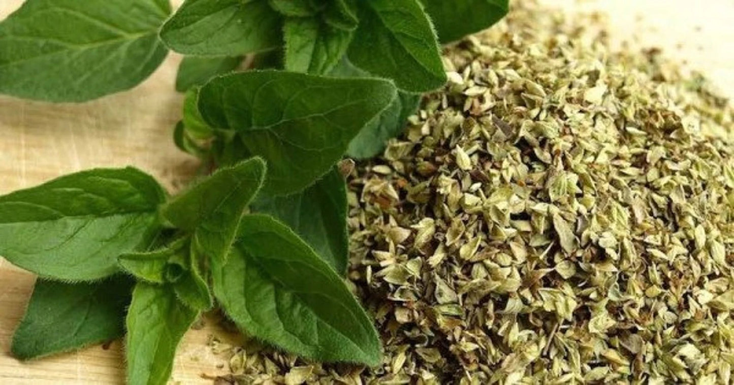 Oregano Powder