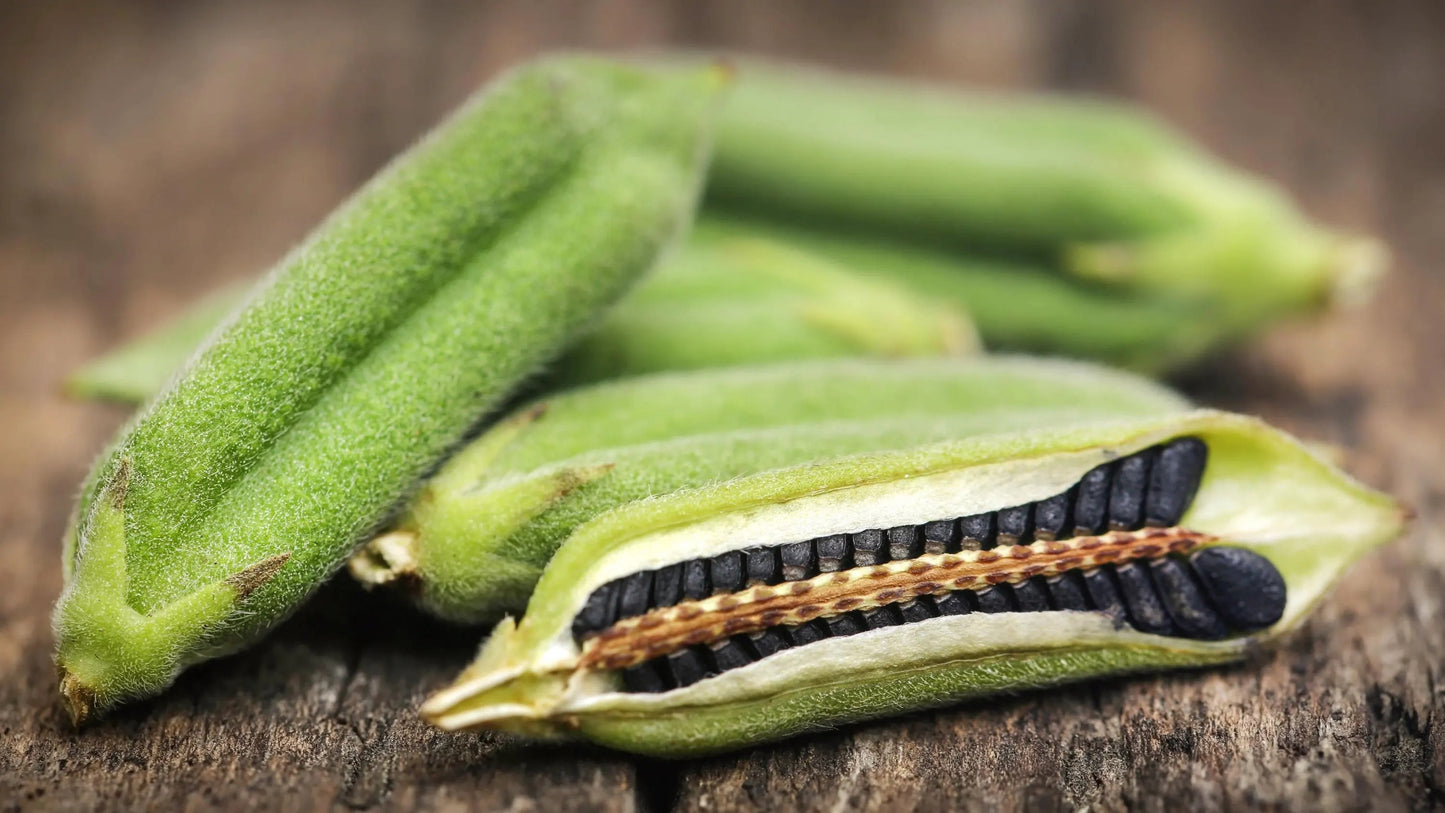 Black Sesame Seeds