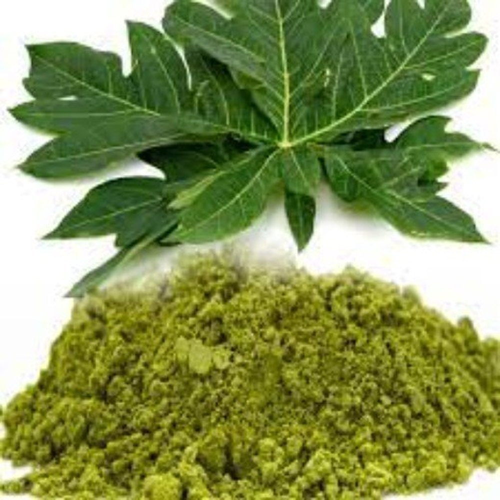 Papaya Leaf Powder