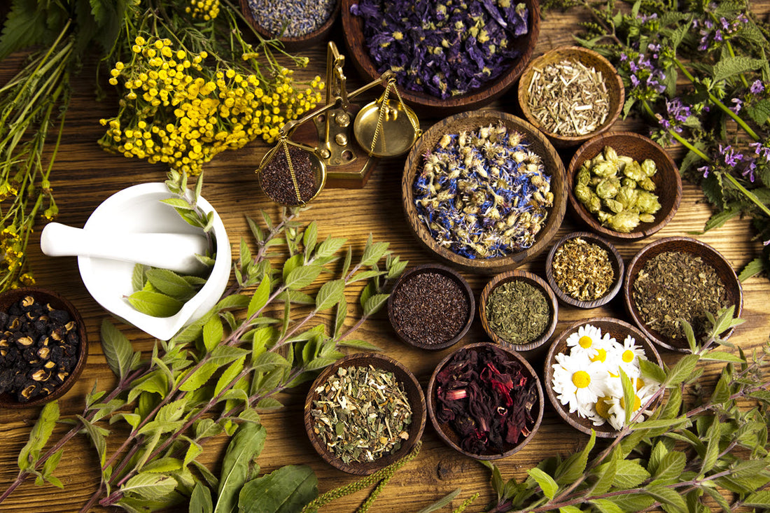 The Versatile Uses of Herbal Tea in Everyday Life