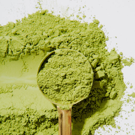 Matcha Powder