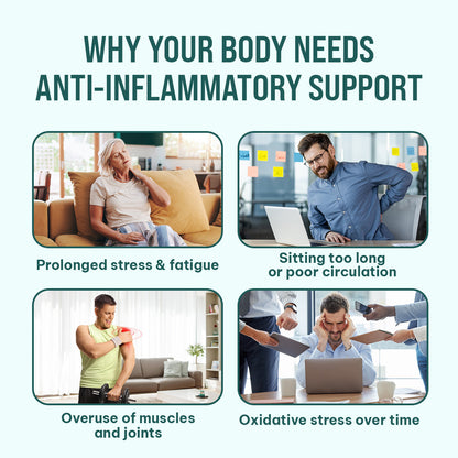 Premium Anti-Inflammatory Herbal Tea
