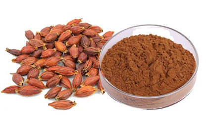 Gardenia Fruit Powder