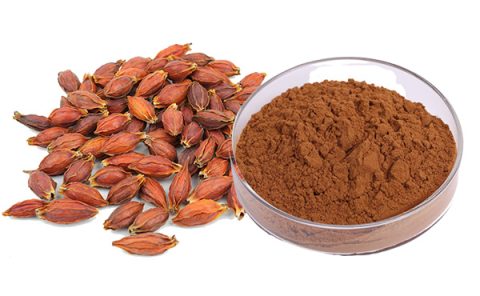 Gardenia Fruit Powder