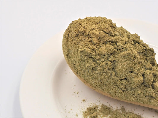Houttuynia Cordata Powder