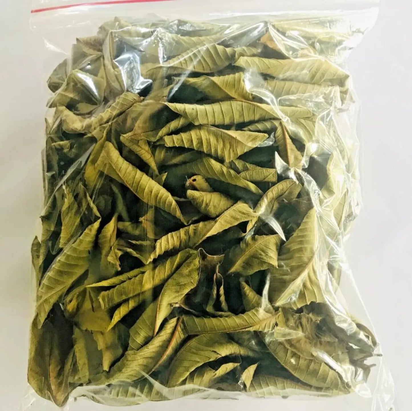 Dried Guava Leaves