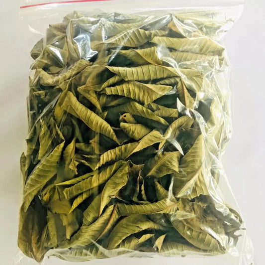 Dried Guava Leaves