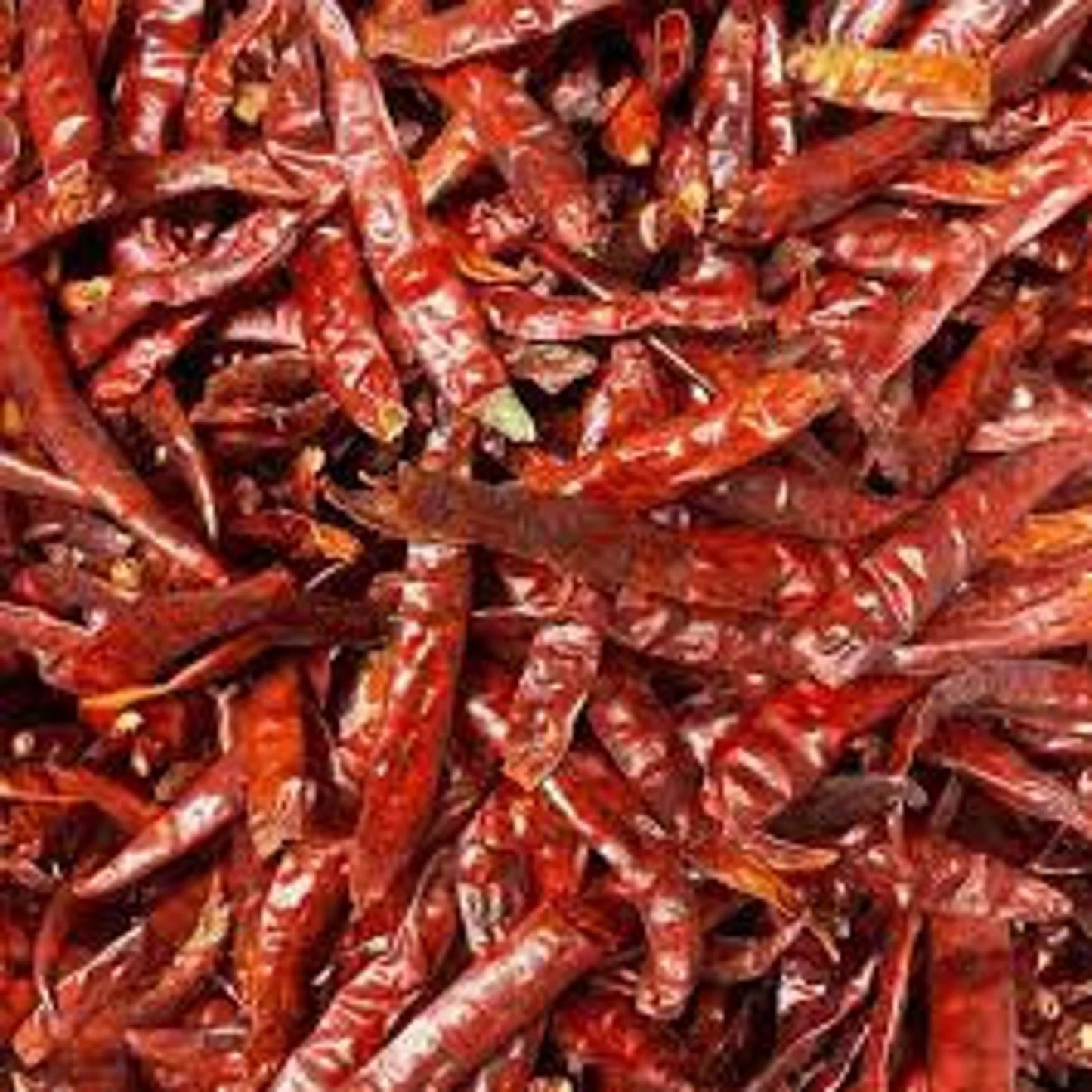 Dried Chili