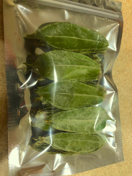 Dried Soursop Leaves